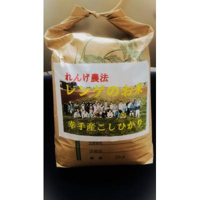 ふるさと納税 幸手市 レンゲ米 こしひかり玄米5kg×2袋