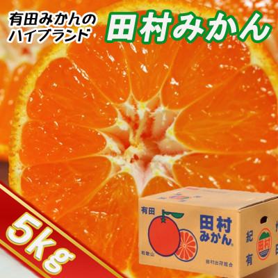 ふるさと納税 広川町 [2024年11月より順次発送]高級みかん秀品"田村みかん"約5kg