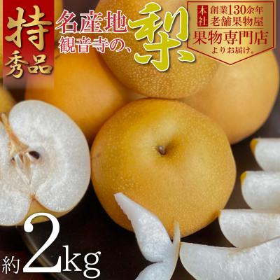 ふるさと納税 観音寺市 [2026年8月中旬より順次発送]特秀品!名産地、観音寺の梨 約2kg