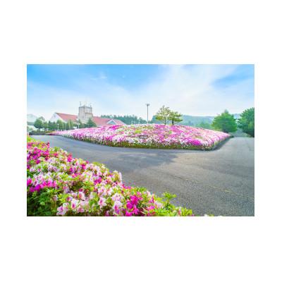 ふるさと納税 加東市 サンロイヤルGC平日1名様プレー券