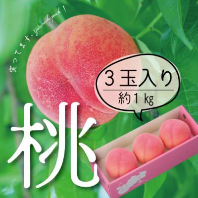 ふるさと納税 山梨市 山梨直送!完熟桃3玉入り ギフト化粧箱入り お試しにちょうどいいサイズ