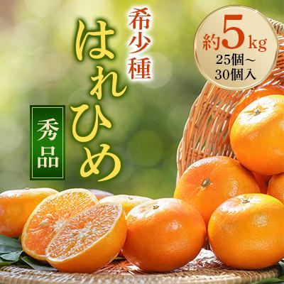 ふるさと納税 日高川町 先行受付! はれひめ(みかんの希少種) 秀品 25個〜30個入 約5kg