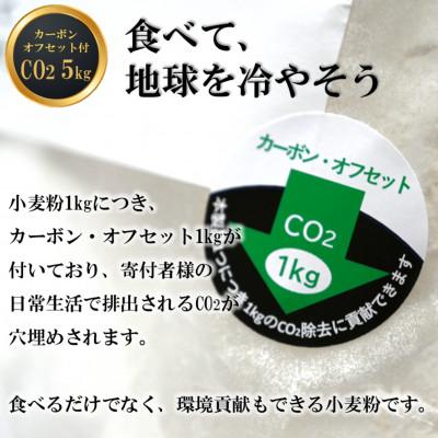 ふるさと納税 下川町 北海道下川町産はるゆたか100%(強力粉) バイオ炭施用 カーボン・オフセット付 5kg｜y-sf｜03