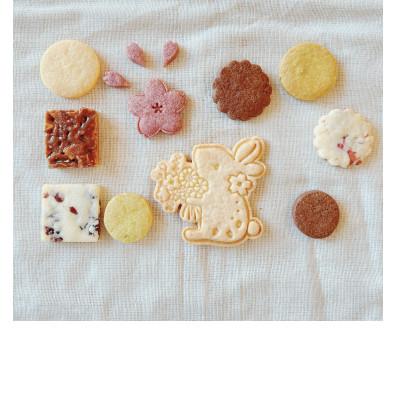 ふるさと納税 泉大津市 咲楽うさぎ 春のクッキー缶 : さとふる - 通販