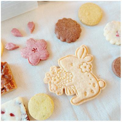 ふるさと納税 泉大津市 咲楽うさぎ 春のクッキー缶 : さとふる - 通販