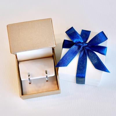 ふるさと納税 昭和町 Pt900 シンプル地金フープピアス(直径13mm)保証