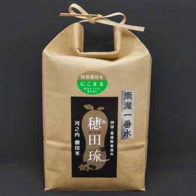 ふるさと納税 東温市 [坂本自然農場 穂田琉] 特別栽培米:にこまる 精米2kg