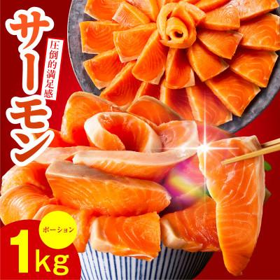 ふるさと納税 泉佐野市 サーモン 1kg ポーション 小分け 刺身用