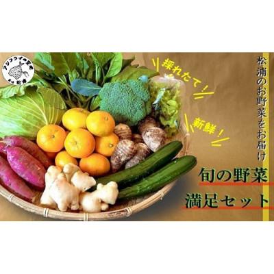 ふるさと納税 松浦市 道の駅松浦海のふるさと館『旬のお野菜』の大満足セット!