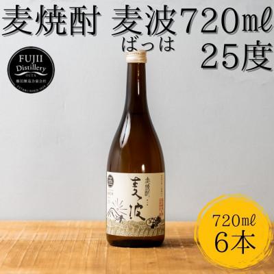 ふるさと納税 豊後大野市 麦焼酎 麦波(ばっは) 計4.32L (720ml ×6本) 25度 セット