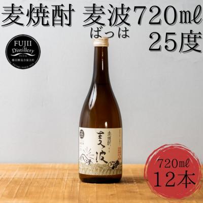 ふるさと納税 豊後大野市 焼酎 麦波(ばっは) 計8.64L (720ml ×12本) 25度 セット