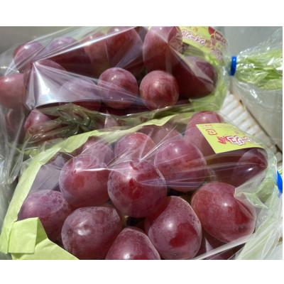 ふるさと納税 長野市 JAグリーン長野 クイーンルージュ(R) 2房(約1kg