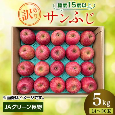 ふるさと納税 長野市 JAグリーン長野 サンふじ 5kg 訳あり家庭用 14〜20玉 糖度保障品