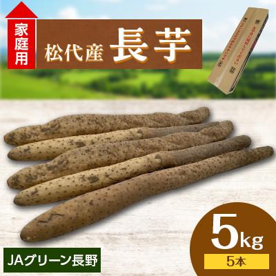 ふるさと納税 長野市 [先行受付]JAグリーン長野 松代産 長芋 5kg(5本) 家庭用