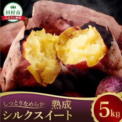ふるさと納税 田村市 さつまいも 熟成 シルクスイート 5kg[12月下旬より順次発送]