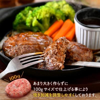 ふるさと納税 坂井市 若狭牛ハンバーグ100g × 10個 ナカノ特製100%和牛の極旨品![A-2007]｜y-sf｜03