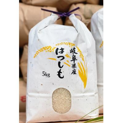 ふるさと納税 羽島市 岐阜県産 ハツシモ 5kg(精米5kg×1袋)