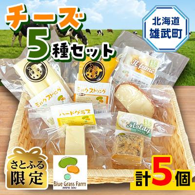 ふるさと納税 雄武町 [さとふる限定]北海道雄武産 チーズセット(5種)[B1004]