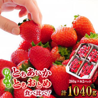 ふるさと納税 佐野市 いちご生産量日本一栃木産 春イチゴ『とちおとめ』『とちあいか』 (260g×4パック)食べ比べセット