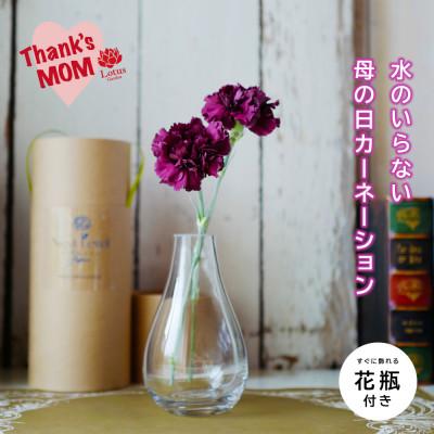 ふるさと納税 酒田市 「水のいらないカーネーションギフト ニコニコ」手間いらずで笑顔が続くフリーズドライのフラワーギフト