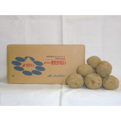 ふるさと納税 倶知安町 北海道羊蹄山麓 JAようてい きたかむいジャガイモ 10kg(2025年秋収穫!)