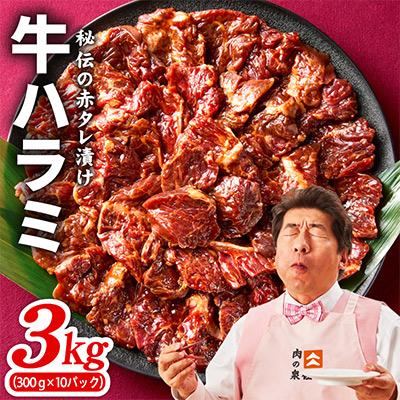 ふるさと納税 泉佐野市 牛ハラミ肉 3kg(300g×10P)タレ漬け 訳あり サイズ不揃い 099H4053