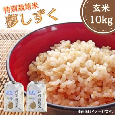 ふるさと納税 江北町 特別栽培米「夢しずく」玄米10kg