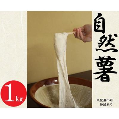 ふるさと納税 中島村 [先行予約]中島村産自然薯(1kg以上)