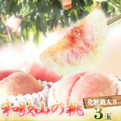 ふるさと納税 日高川町 紀州和歌山産の桃 秀品 3玉 化粧箱入