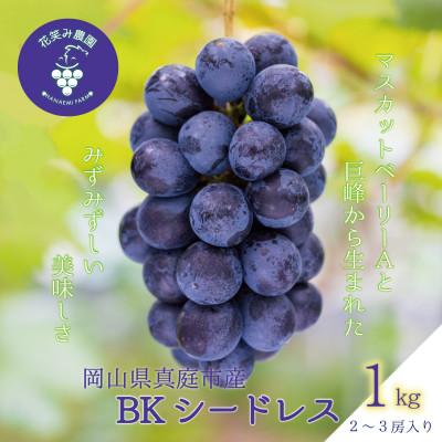 ふるさと納税 真庭市 [2026年先行受付]岡山 花笑み農園の『BKシードレス』1kg(2〜3房)