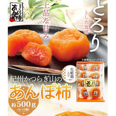 ふるさと納税 日高川町 紀州かつらぎ山のあんぽ柿 化粧箱入 約500g(8個〜10個入)