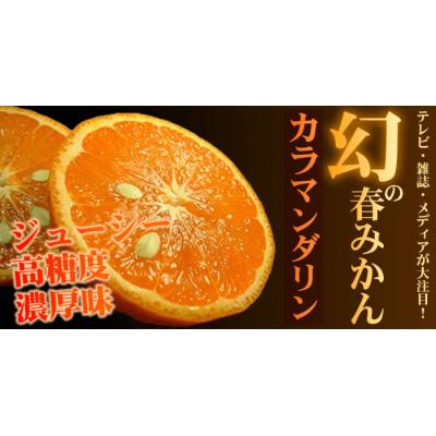 ふるさと納税 広川町 カラマンダリン 秀品 [約5kg]和歌山県有田産春みかん 春柑橘(果実サイズおまかせ)