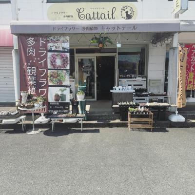 ふるさと納税 直方市 ドライフラワーお任せリース NO2の画像