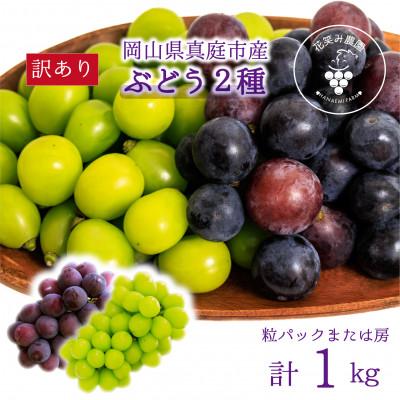 ふるさと納税 真庭市 [2026年先行受付]岡山 花笑み農園のブドウ『訳あり2種MIX』1kg W2M-1