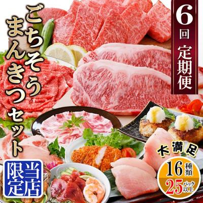 ふるさと納税 枕崎市 定期便6回配送 [当店限定]ごちそうまんきつセット