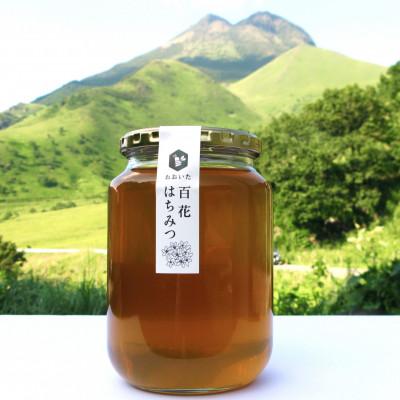 ふるさと納税 由布市 由布市産 「おおいた百花はちみつ」1kgの画像