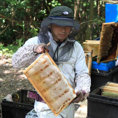ふるさと納税 由布市 由布市産 「おおいた百花はちみつ」1kgの画像