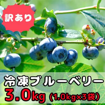 ふるさと納税 東通村 [感謝企画]訳あり 冷凍ブルーベリー3kg(1kg×3袋)「青森県東通村産」