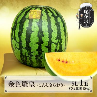 ふるさと納税 尾花沢市 黄色スイカ 金色羅皇 5Lサイズ 約10kg×1玉 令和