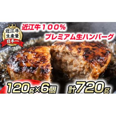 ふるさと納税 近江八幡市 近江牛100% プレミアム生ハンバーグ720g(約120g×6個)個包装 プレゼントにも