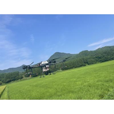 ふるさと納税 村上市 【新米受付・令和8年産米】空舞米　岩船産 新之助精米 10kg(5kg×2袋) 1063004N