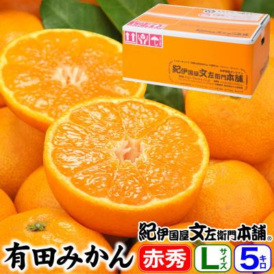 ふるさと納税 有田川町 ブランド有田みかん[Lサイズ]秀品 5kg 薄皮で甘い美味しいみかん 産地直送