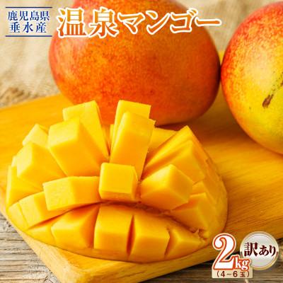 ふるさと納税 垂水市 [期間限定] 訳あり 鹿児島産 温泉マンゴー 2kg [2024年6月中旬より順次発送]