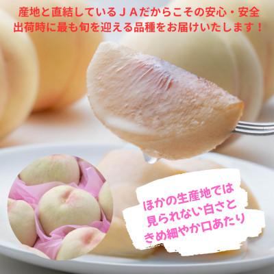 ふるさと納税 井原市 【2026年発送】ご家庭用 おかやまの桃 大玉3玉 約900gの画像
