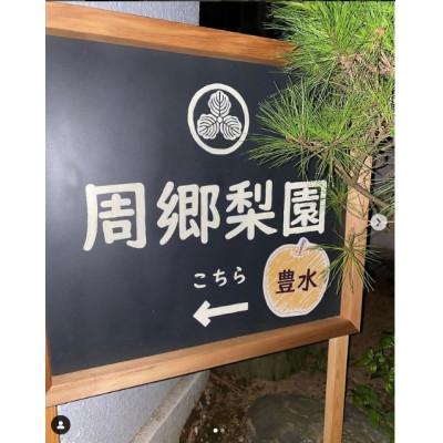 ふるさと納税 八千代市 2026年発送先行受付 周郷梨園のやちよ100年梨(10kg)の画像