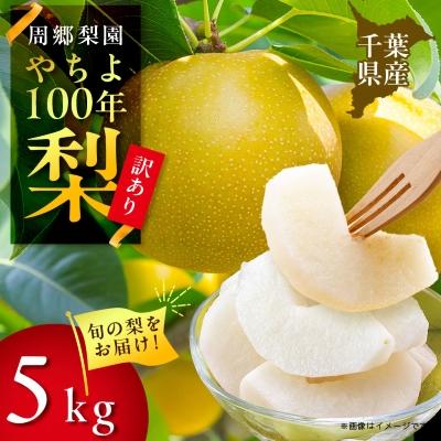 ふるさと納税 八千代市 2026年発送先行受付 周郷梨園のやちよ100年梨家庭用(5kg)