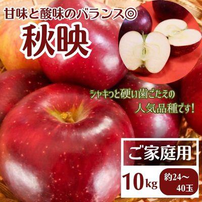 ふるさと納税 中野市 [先行受付]りんご 秋映 ご家庭用 10kg