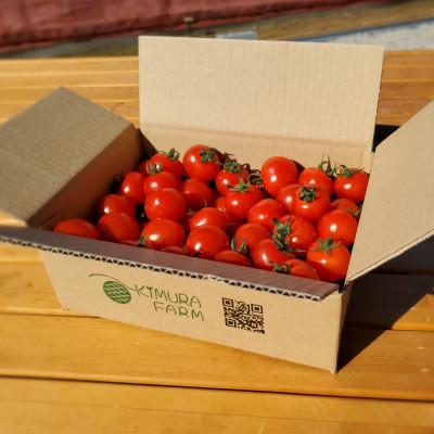 ふるさと納税 八千代市 トマト好きにピッタリ!高濃度ミニトマト バラ入れ 約1.0kg