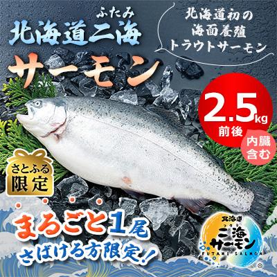ふるさと納税 八雲町 [さとふる限定]北海道二海サーモン まるごと1尾 2.5kg前後