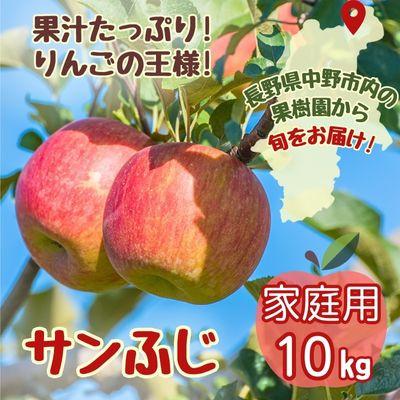 ふるさと納税 中野市 りんご サンふじ家庭用 10kg